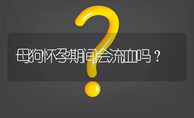 母狗怀孕期间会流血吗？ | 动物养殖问答