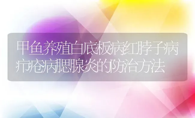 甲鱼养殖白底板病红脖子病疖疮病腮腺炎的防治方法 | 动物养殖百科