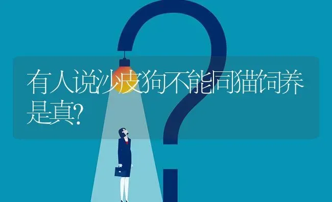 有人说沙皮狗不能同猫饲养是真？ | 动物养殖问答