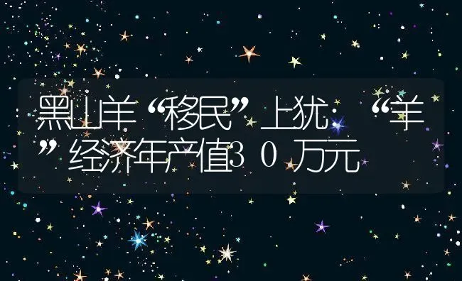 黑山羊“移民”上犹：“羊”经济年产值30万元 | 动物养殖教程