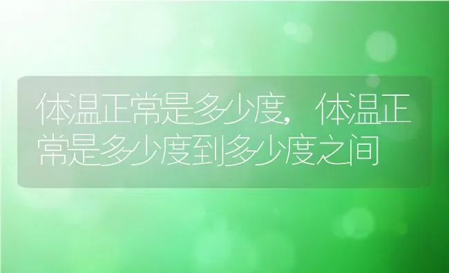 体温正常是多少度,体温正常是多少度到多少度之间 | 宠物百科知识