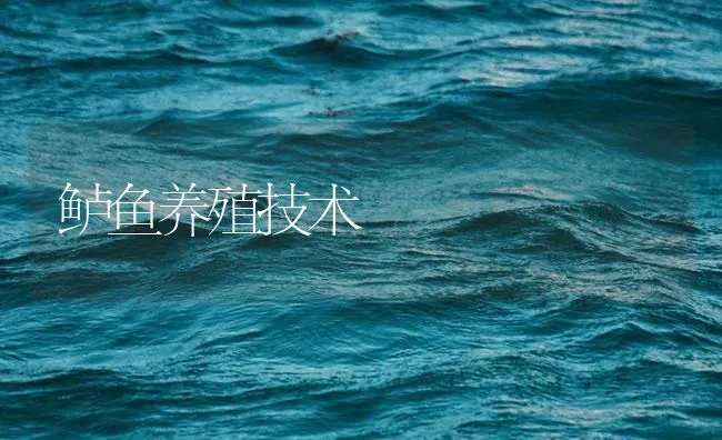 鲈鱼养殖技术 | 海水养殖技术