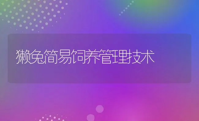 獭兔简易饲养管理技术 | 动物养殖学堂