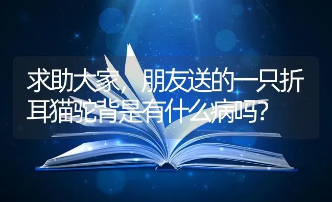 求助大家，朋友送的一只折耳猫驼背是有什么病吗？ | 动物养殖问答