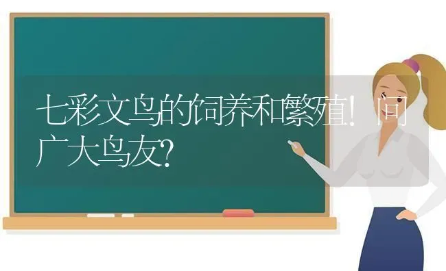 七彩文鸟的饲养和繁殖！问广大鸟友？ | 动物养殖问答