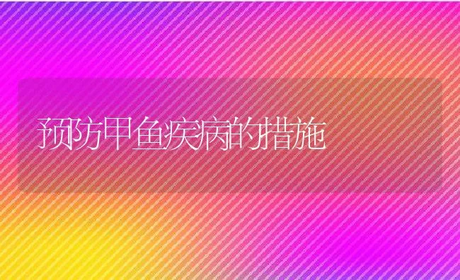 预防甲鱼疾病的措施 | 水产养殖知识