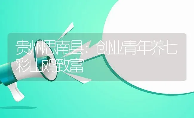 贵州思南县：创业青年养七彩山鸡致富 | 动物养殖教程