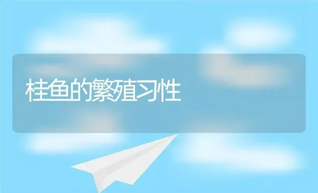 桂鱼的繁殖习性 | 动物养殖教程