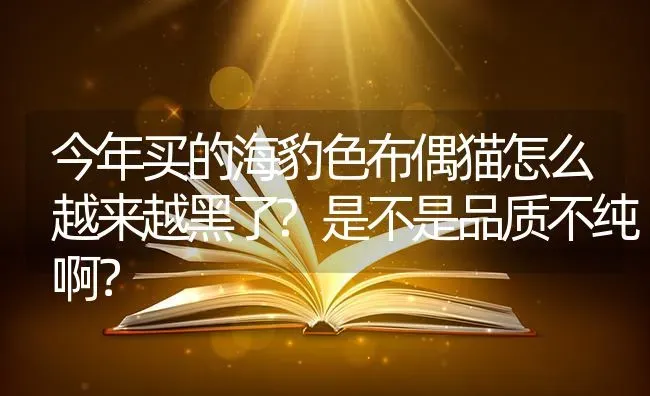 今年买的海豹色布偶猫怎么越来越黑了?是不是品质不纯啊？ | 动物养殖问答