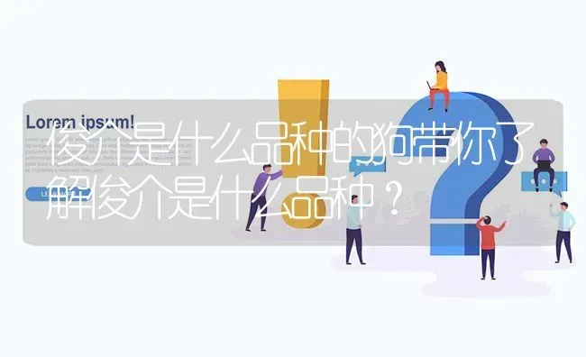 俊介是什么品种的狗带你了解俊介是什么品种？ | 动物养殖问答