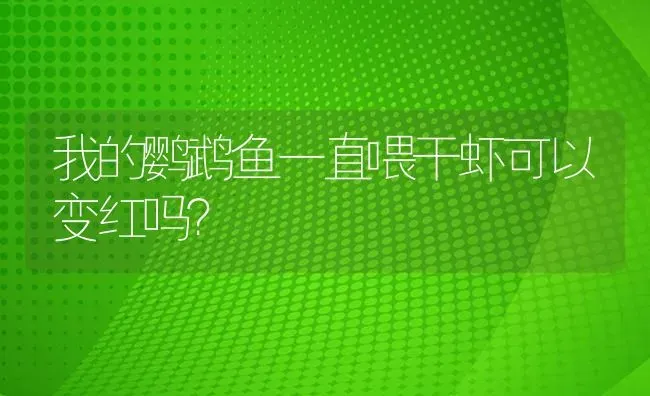 我的鹦鹉鱼一直喂干虾可以变红吗？ | 鱼类宠物饲养