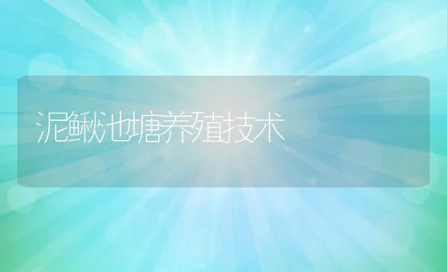 泥鳅池塘养殖技术 | 水产养殖知识