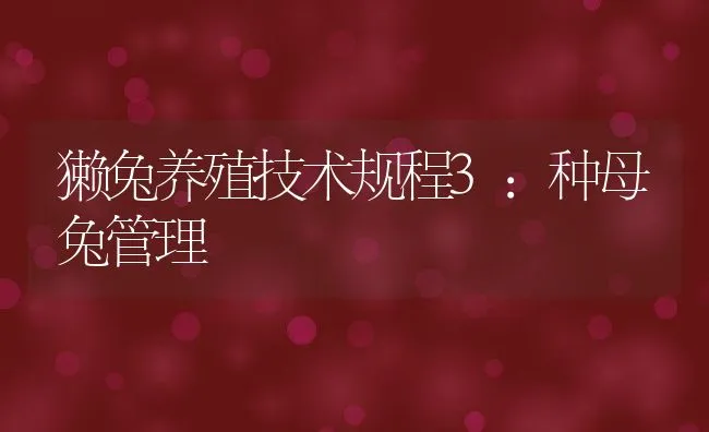 獭兔养殖技术规程3：种母兔管理 | 水产养殖知识