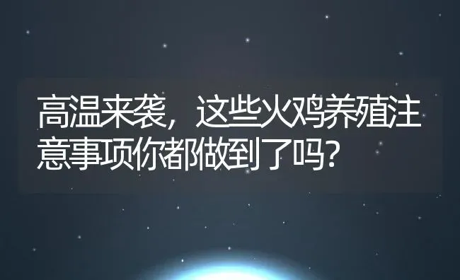 高温来袭，这些火鸡养殖注意事项你都做到了吗？ | 动物养殖教程