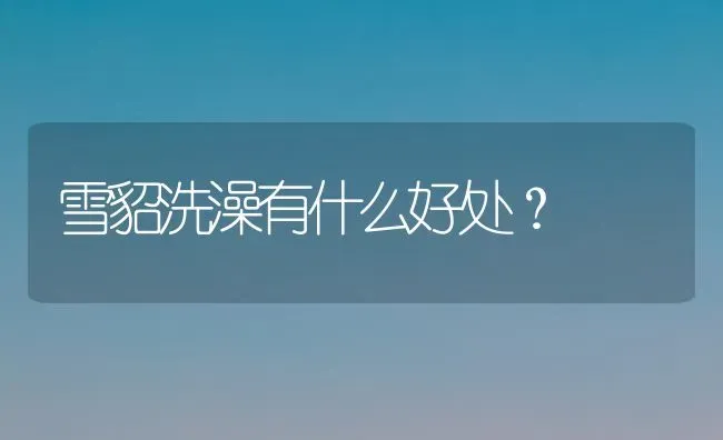 雪貂洗澡有什么好处？ | 动物养殖问答