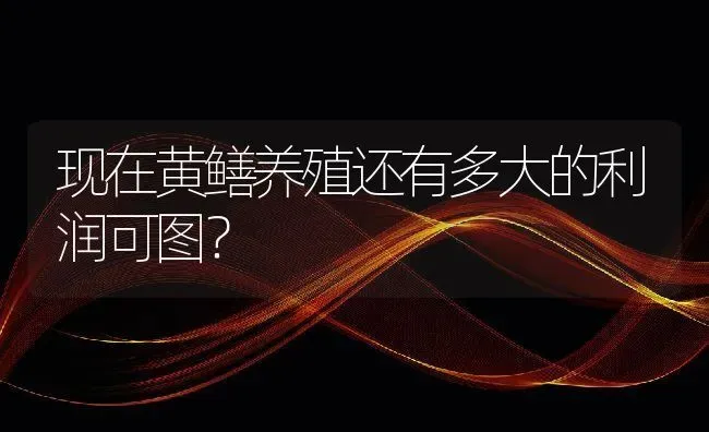 现在黄鳝养殖还有多大的利润可图？ | 动物养殖百科