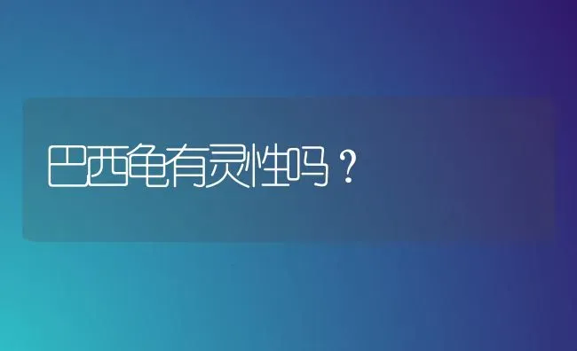 巴西龟有灵性吗？ | 动物养殖问答