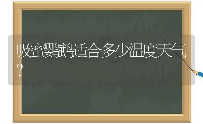 吸蜜鹦鹉适合多少温度天气？ | 动物养殖问答