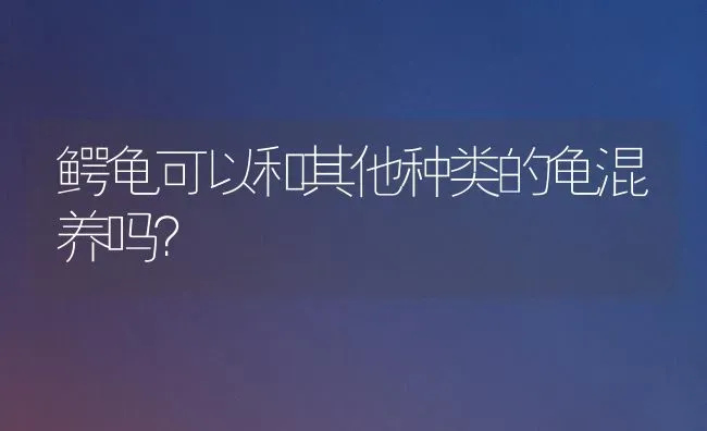 鳄龟可以和其他种类的龟混养吗？ | 动物养殖问答