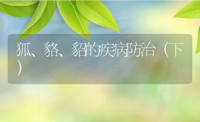 狐、貉、貂的疾病防治（下） | 水产养殖知识