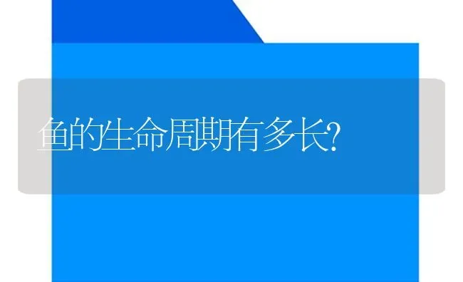 鱼的生命周期有多长？ | 鱼类宠物饲养