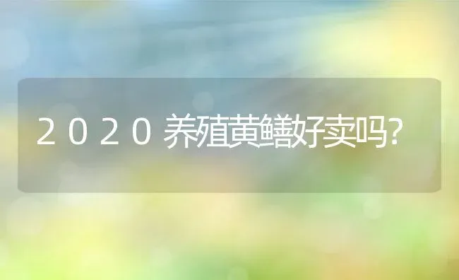 2020养殖黄鳝好卖吗？ | 动物养殖百科