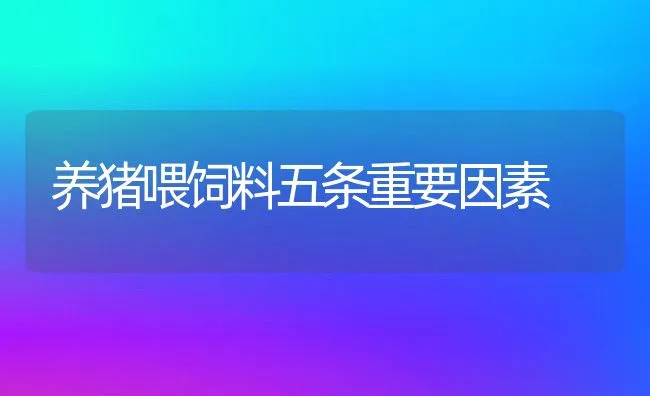 养猪喂饲料五条重要因素 | 动物养殖学堂
