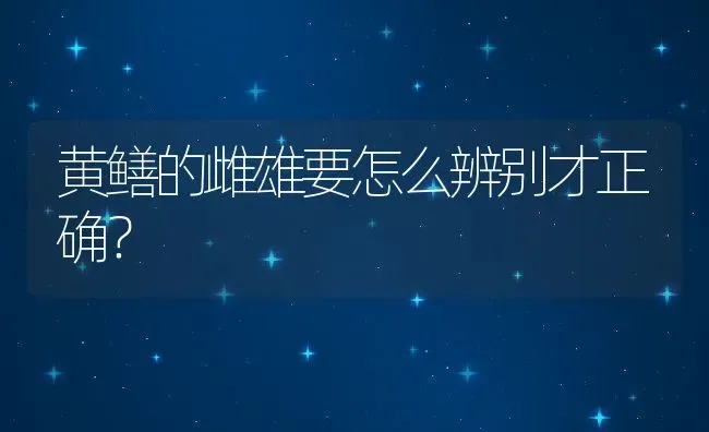 黄鳝的雌雄要怎么辨别才正确？ | 动物养殖百科