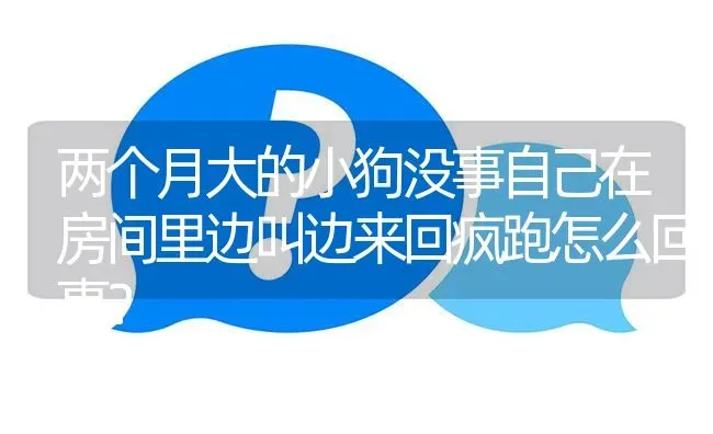 两个月大的小狗没事自己在房间里边叫边来回疯跑怎么回事？ | 动物养殖问答