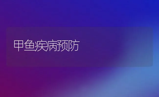 甲鱼疾病预防 | 动物养殖学堂