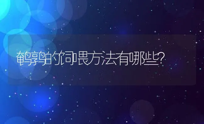 鹌鹑的饲喂方法有哪些？ | 水产养殖知识