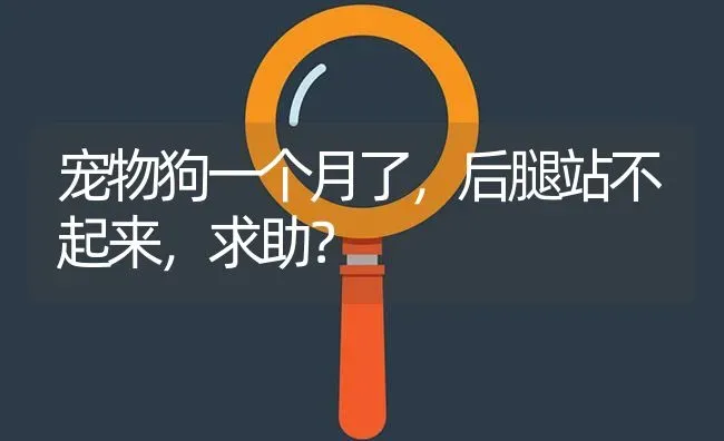 宠物狗一个月了，后腿站不起来，求助？ | 动物养殖问答