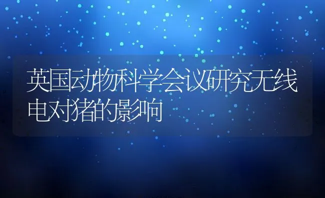 英国动物科学会议研究无线电对猪的影响 | 动物养殖饲料