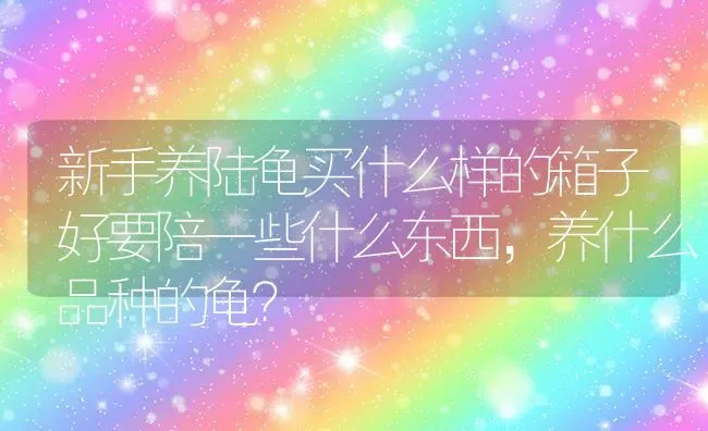 新手养陆龟买什么样的箱子好要陪一些什么东西，养什么品种的龟？ | 动物养殖问答