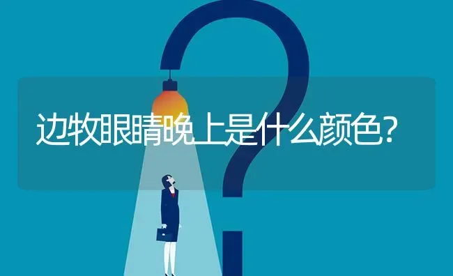 边牧眼睛晚上是什么颜色？ | 动物养殖问答