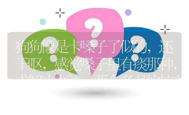 狗狗像是卡嗓子了似的，还干呕，感觉嗓子里有痰那种，求解决办法，两个多月的拉布拉多犬，谢谢，大？ | 动物养殖问答