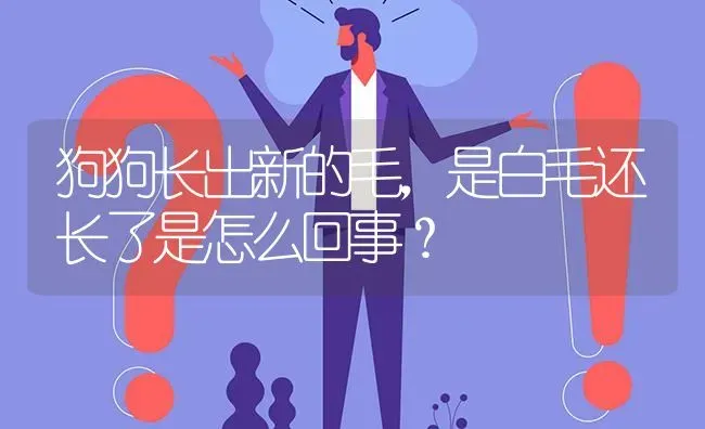 狗狗长出新的毛，是白毛还长了是怎么回事？ | 动物养殖问答