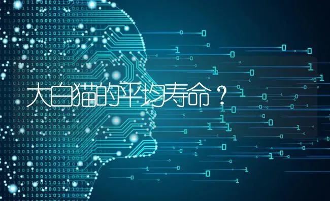 大白猫的平均寿命？ | 动物养殖问答