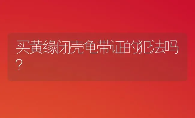 多肉吉娃娃，红爪，一点红有什么去别？ | 动物养殖问答