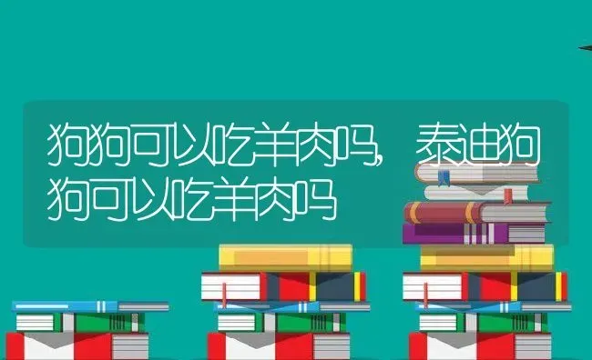 狗狗可以吃羊肉吗,泰迪狗狗可以吃羊肉吗 | 宠物百科知识