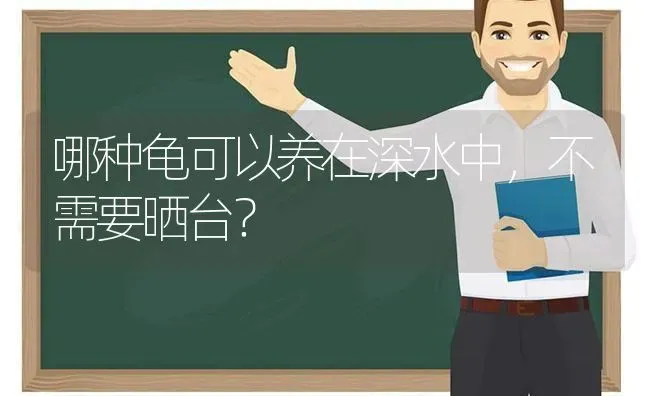 哪种龟可以养在深水中，不需要晒台？ | 动物养殖问答