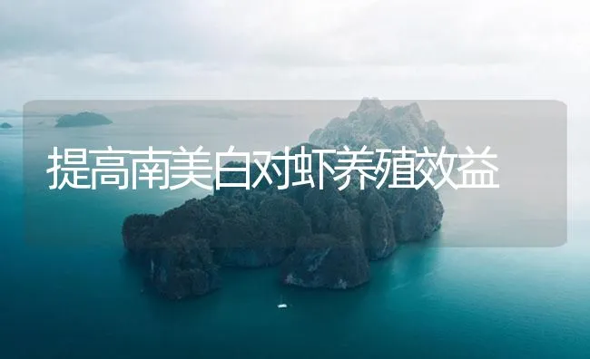 提高南美白对虾养殖效益 | 海水养殖技术