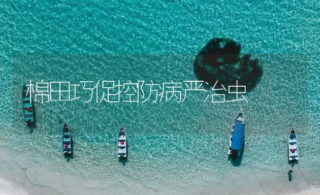 怎样防治冬季病虫害 | 海水养殖技术