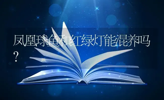 凤凰球鱼和红绿灯能混养吗？ | 鱼类宠物饲养