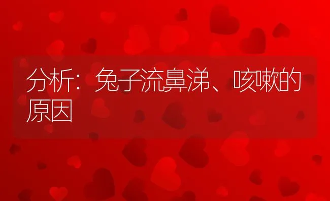 防治鳜鱼病害改善养殖环境最根本 | 海水养殖技术