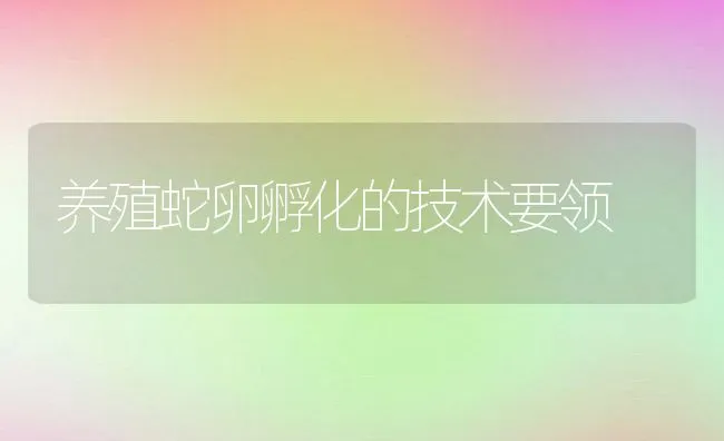 养殖蛇卵孵化的技术要领 | 水产养殖知识