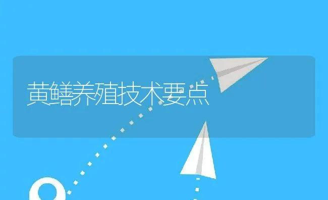 黄鳝养殖技术要点 | 水产养殖知识