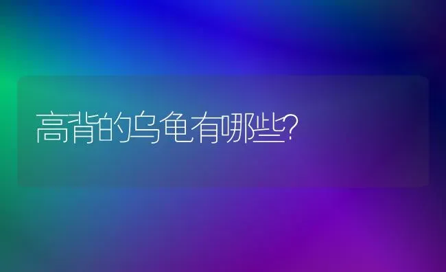 高背的乌龟有哪些？ | 动物养殖问答