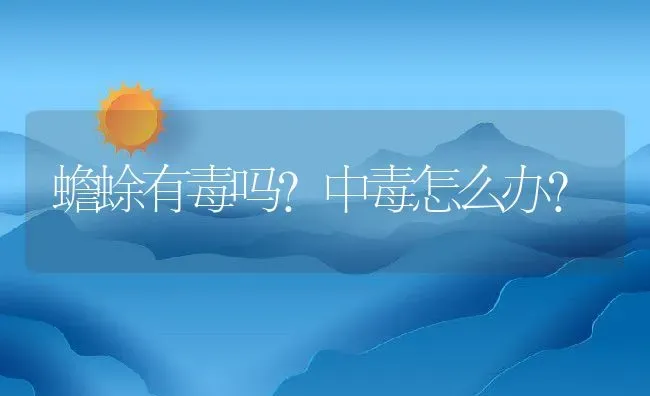 蟾蜍有毒吗？中毒怎么办？ | 动物养殖百科