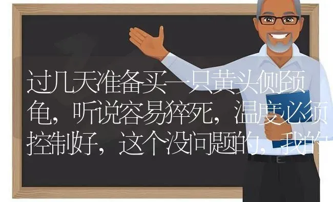 过几天准备买一只黄头侧颈龟，听说容易猝死，温度必须控制好，这个没问题的，我的鱼缸办得到，问题是如果？ | 动物养殖问答